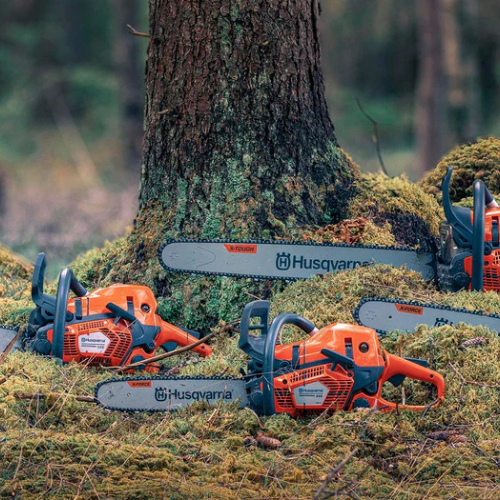 Three orange Husqvarna chainsaws rest on mossy ground around a tree in a forest setting, suggesting a calm, professional lumbering scene.