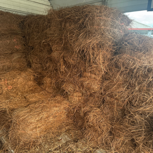 Stacks of neatly arranged hay bales fill a sheltered area, creating a rustic and earthy atmosphere. The scene conveys a sense of farm life and rural simplicity.
