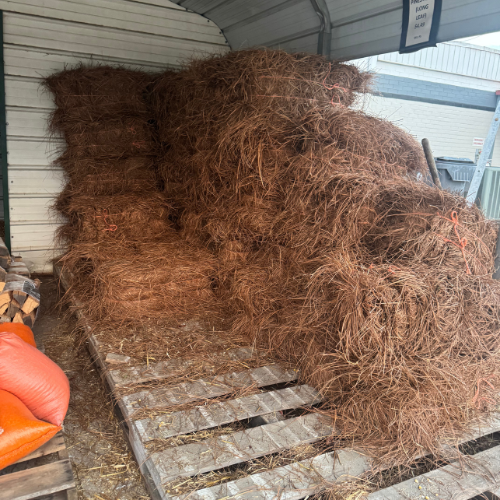 Stacks of brown pine straw bales are neatly arranged on wooden pallets in a metal storage shed. The setting appears organized and rustic.