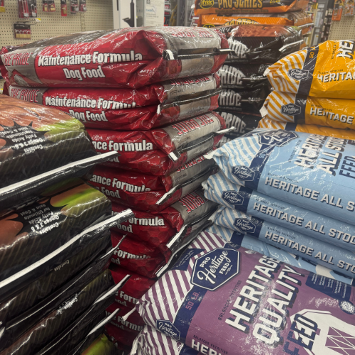 Stacks of colorful dog food bags are neatly arranged in a store. Red bags are labeled 