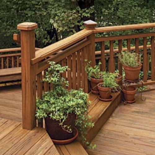 Wooden deck with several potted plants, including leafy vines and herbs, placed on steps and a small stand. Surrounding lush trees create a serene ambiance.