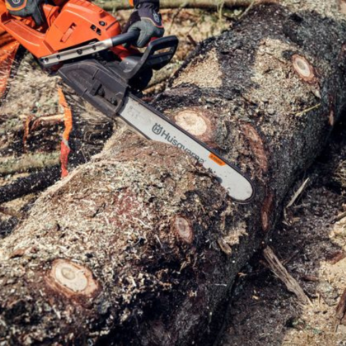 A chainsaw operator cuts through a large tree log, creating sawdust. The scene conveys a sense of power and precision in woodwork.