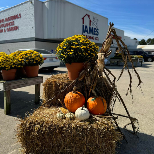 Outdoor autumn display featuring hay bales, pumpkins, and potted yellow flowers. The scene is in front of a building under clear blue skies, conveying a festive fall atmosphere.