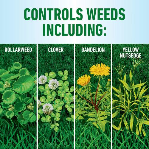 Roundup® for Southern Lawns