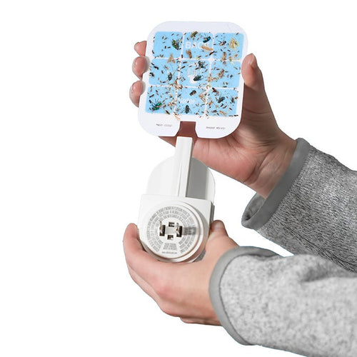SAFER® Home Indoor Fly Trap Refill Glue Cards